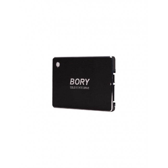 Bory 256 GB Bory Sata3 R500-C256G SSD 550/510 Mbs (3 Yıl Garantili)